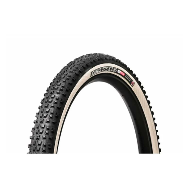 Reifen Onza 29x2.30 Canis Skinwall 57-622 - 29 Schwarz/beige XCC TLR Faltbar 3 Reifen Onza 29x2.30 Canis Skinwall 57-622 - 29 Schwarz/beige XCC TLR Faltbar
