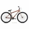 SE Bikes BIG FLYER 29 2022