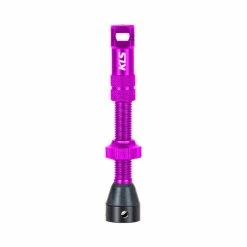 Tubeless-Ventil-Set INSERT BRO FV 44mm Purple Purple